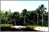 Plonsen - nr. 0102